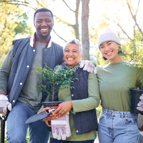 Trees, garden and plants people in portrait community service, sustainability collaboration and eco.